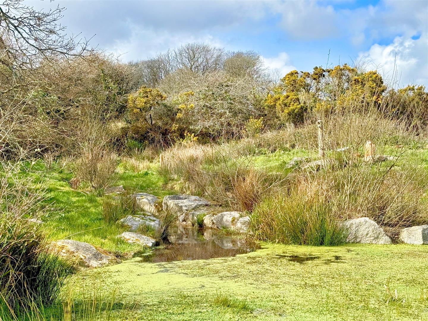 Trenoweth, Mabe Burnthouse, Penryn